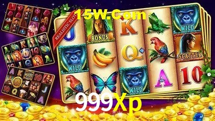 Sistemas de Segurança 999Xp